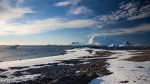 Antarctic-01-2
