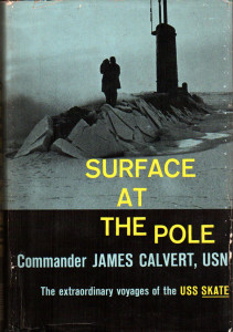 surfacepole_book